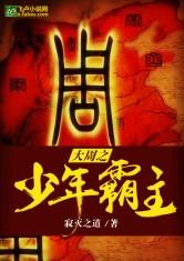 海贼里的满级玩家