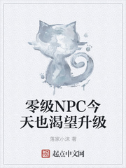�㼶NPC����Ҳ��������