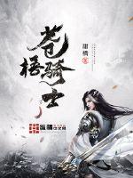 ������ʿ