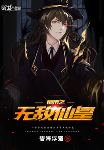 ����֮�޵��ɻ�