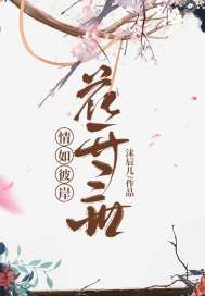 ����˰���������